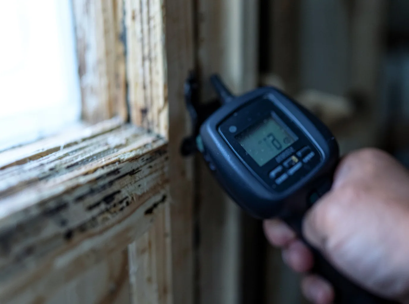 Moisture Inspection And Documentation in Red Rock, TX